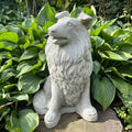 Concrete Border Collie Garden Statue 12.5" Sheltie Pet Memorial Sculpture Dog Yard Art Lawn Ornament Gift