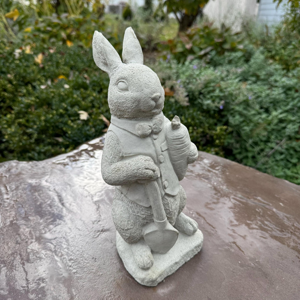 Peter Rabbit Statue 11" Beatrix Potter Garden Bunny Sculpture Outdoor Yard Decor Ornament