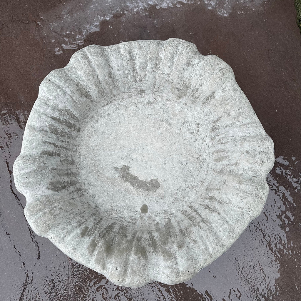 Small Cement Bird Bath Bowl: 13" Modern Concrete Bird Bath