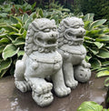 Concrete Foo Dog Statue Pair 14" Male Female Feng Shui Garden Guardians Outdoor Yard Protection Decor