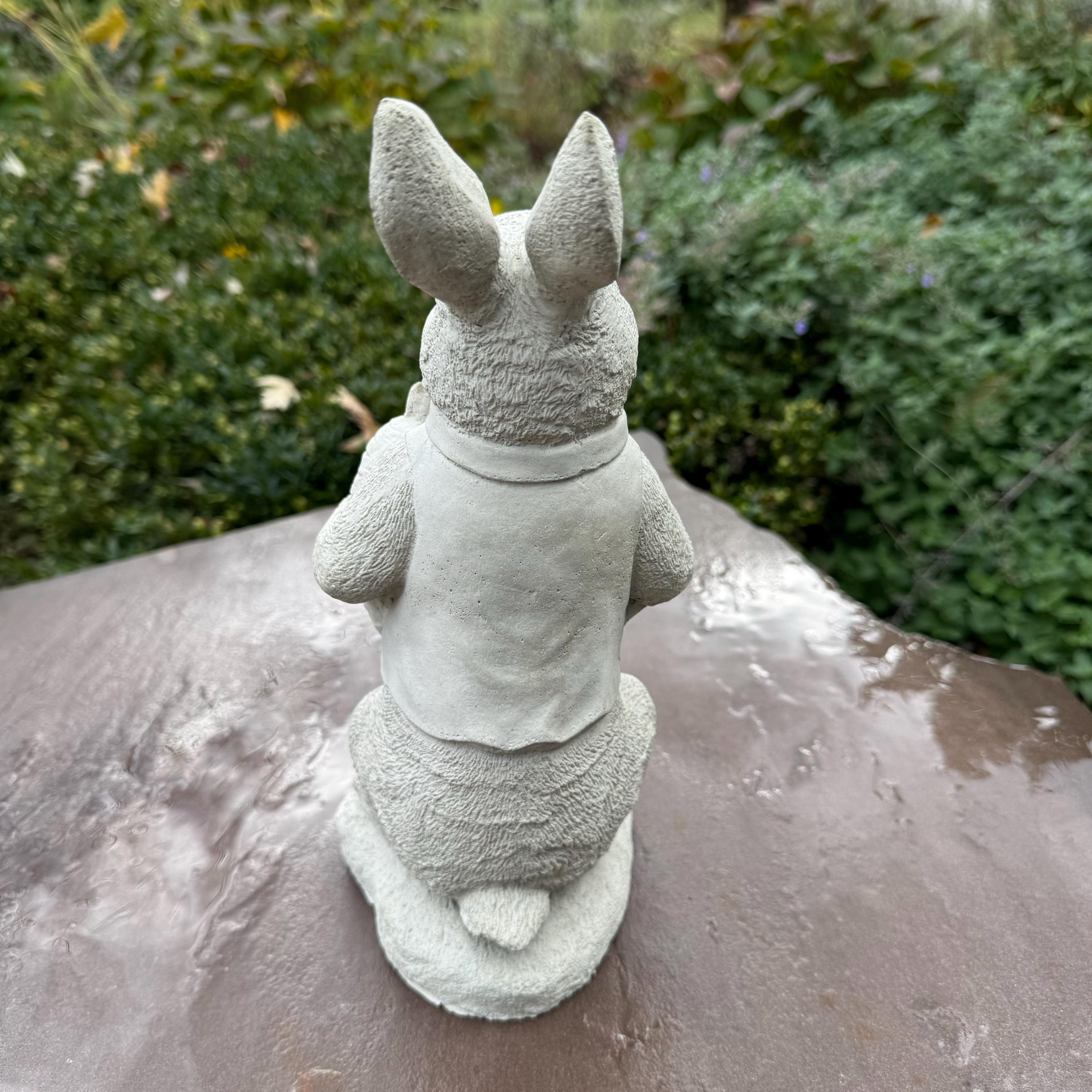 Peter Rabbit Statue 11" Beatrix Potter Garden Bunny Sculpture Outdoor Yard Decor Ornament