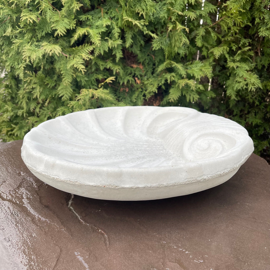 Concrete Bird Bath Bowl 18" Cement Bird Baths Near Me / Sea Shell Shape Design