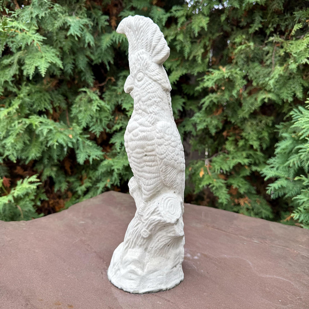 Cockatoo Bird Statue: 13 Inch Concrete Garden Sculpture Outdoor Parrot Decor