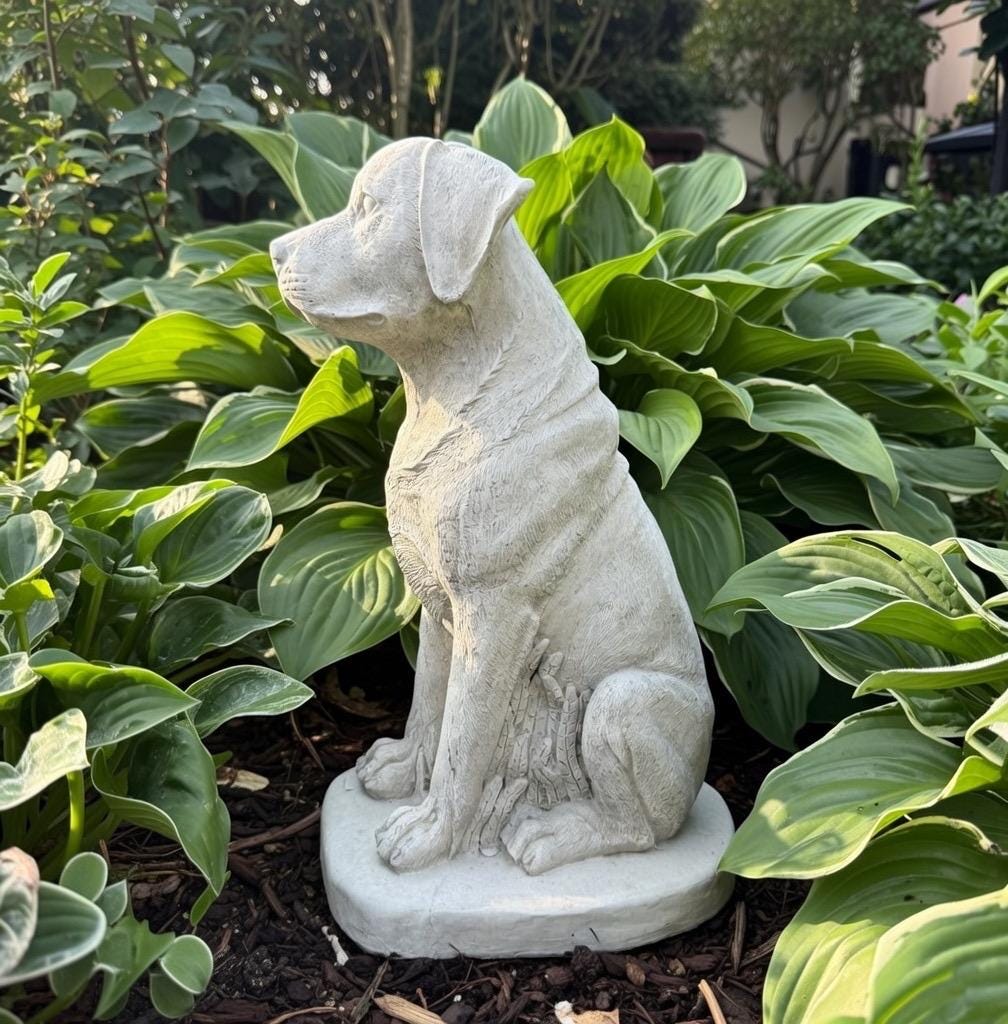 Large Concrete Labrador Garden Statue 14.5" Cement Dog Sculpture Yard Decor Memorial Pet Gift