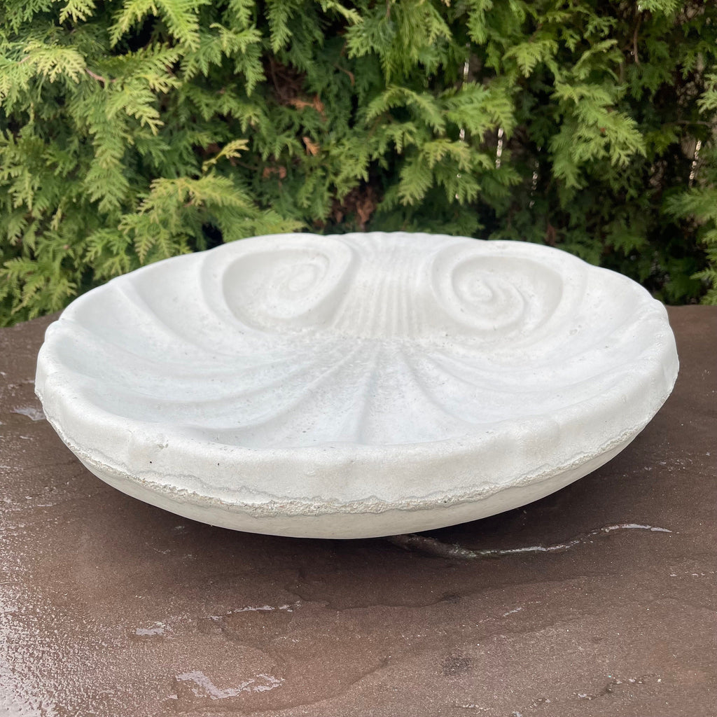 Concrete Bird Bath Bowl 18" Cement Bird Baths Near Me / Sea Shell Shape Design