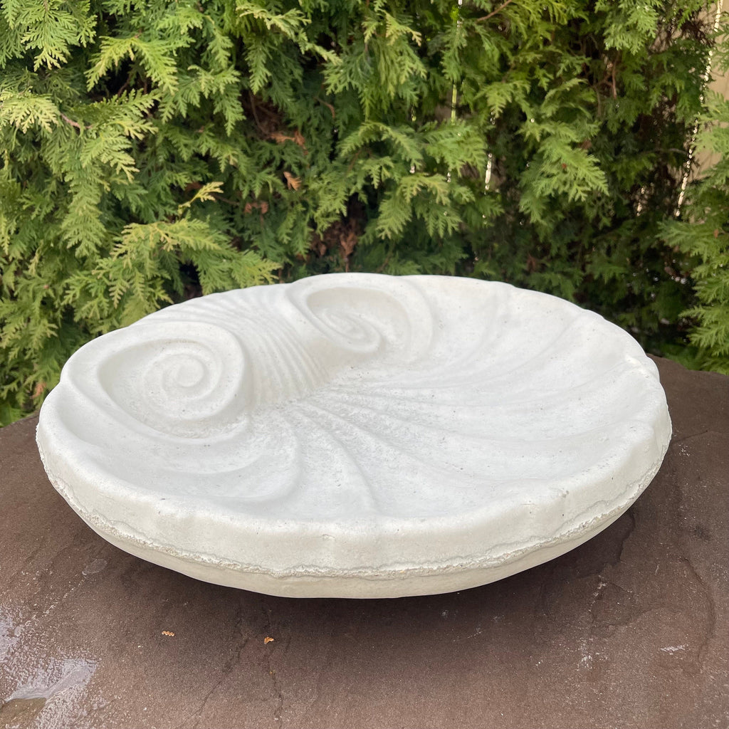 Concrete Bird Bath Bowl 18" Cement Bird Baths Near Me / Sea Shell Shape Design