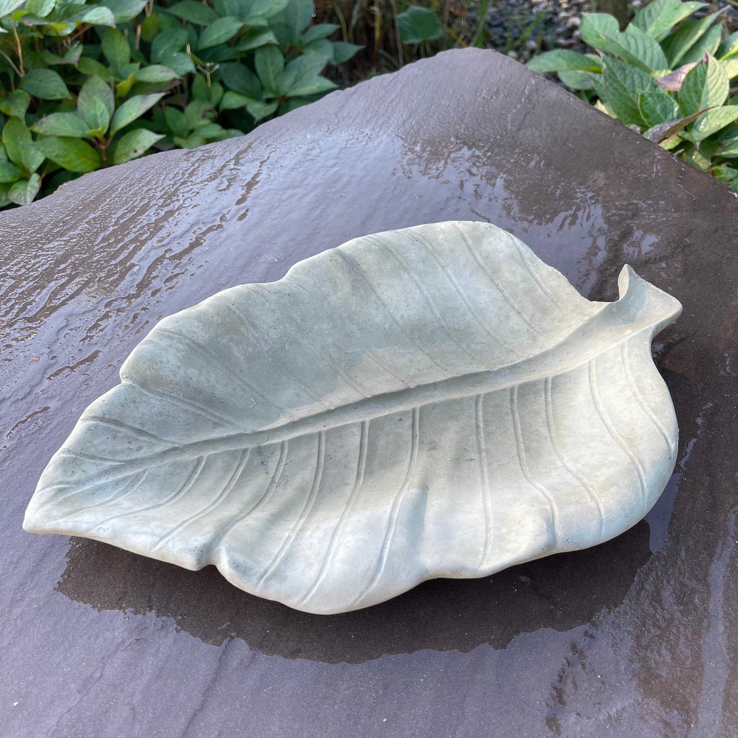 Cement Leaf Bird Bath 16" Low Concrete Bird Bath / Concrete Puddler For The Garden