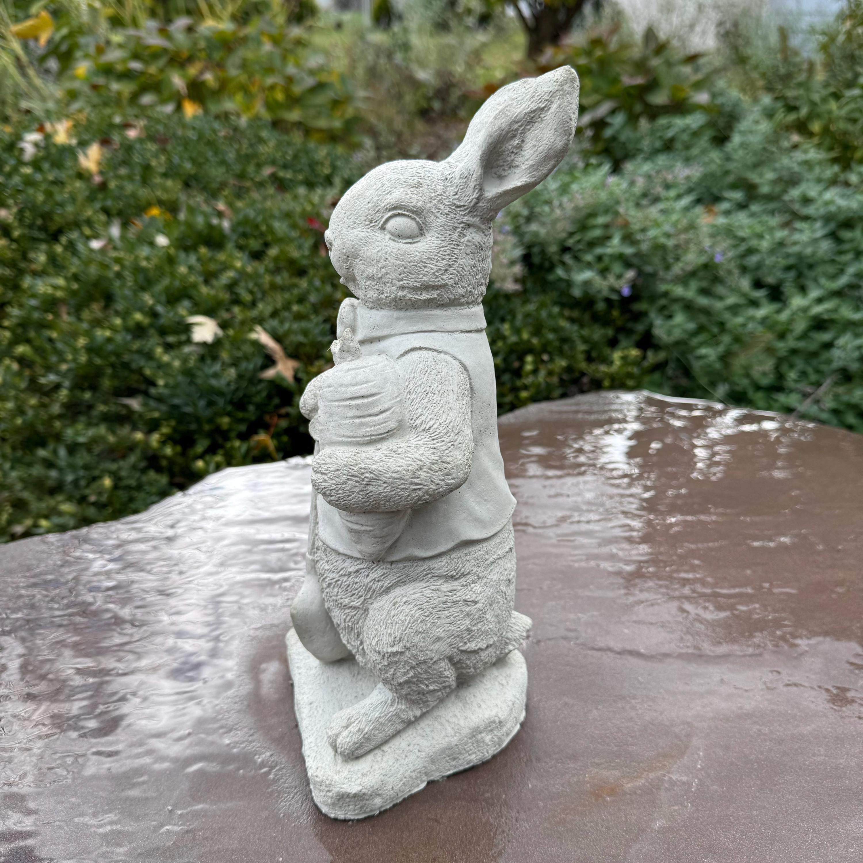 Peter Rabbit Statue 11" Beatrix Potter Garden Bunny Sculpture Outdoor Yard Decor Ornament