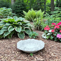 Small Cement Bird Bath Bowl: 13" Modern Concrete Bird Bath
