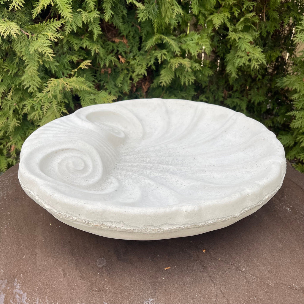 Concrete Bird Bath Bowl 18" Cement Bird Baths Near Me / Sea Shell Shape Design