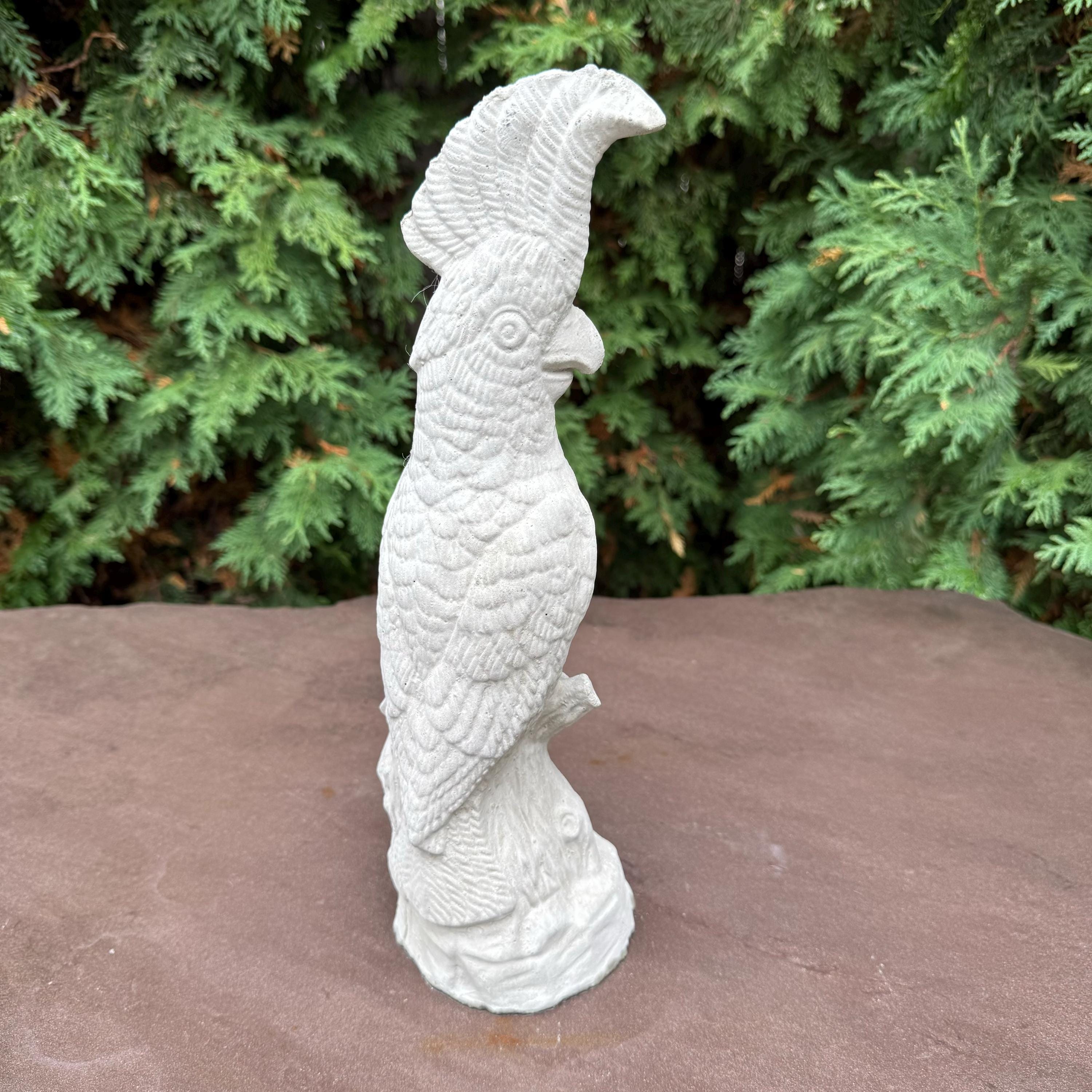 Cockatoo Bird Statue: 13 Inch Concrete Garden Sculpture Outdoor Parrot Decor
