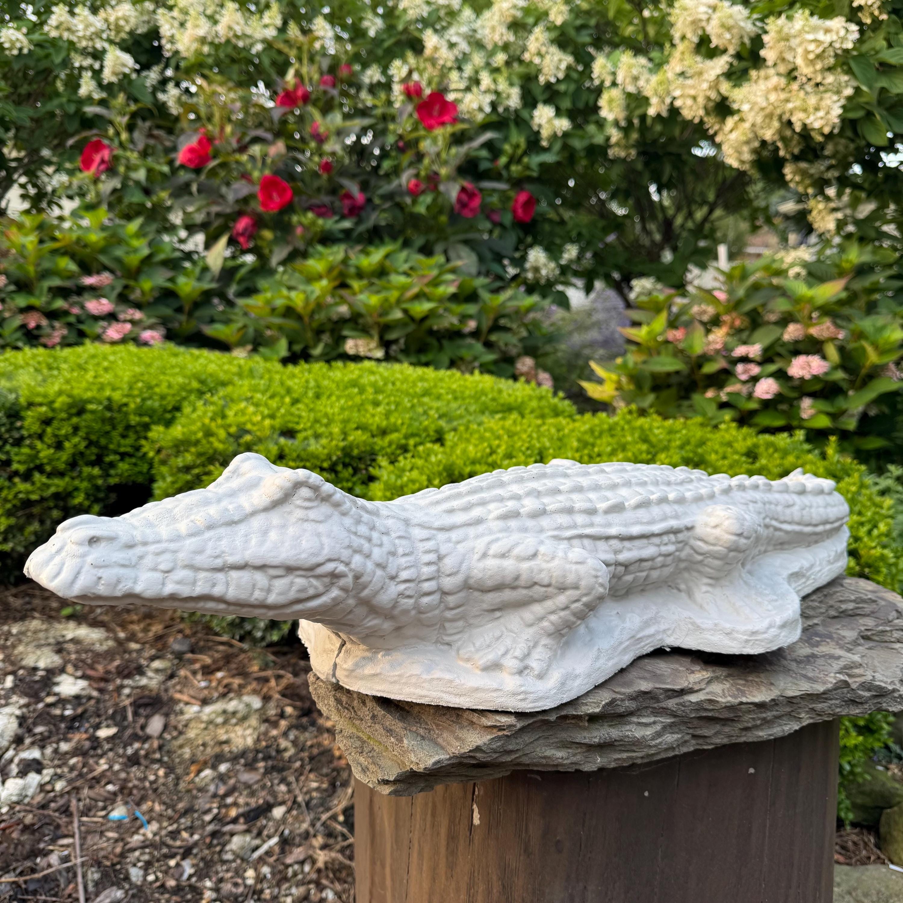 29 Inch Concrete Alligator Garden Statue Sculpture Outdoor Yard Lawn Pond Animal Decor Ornament