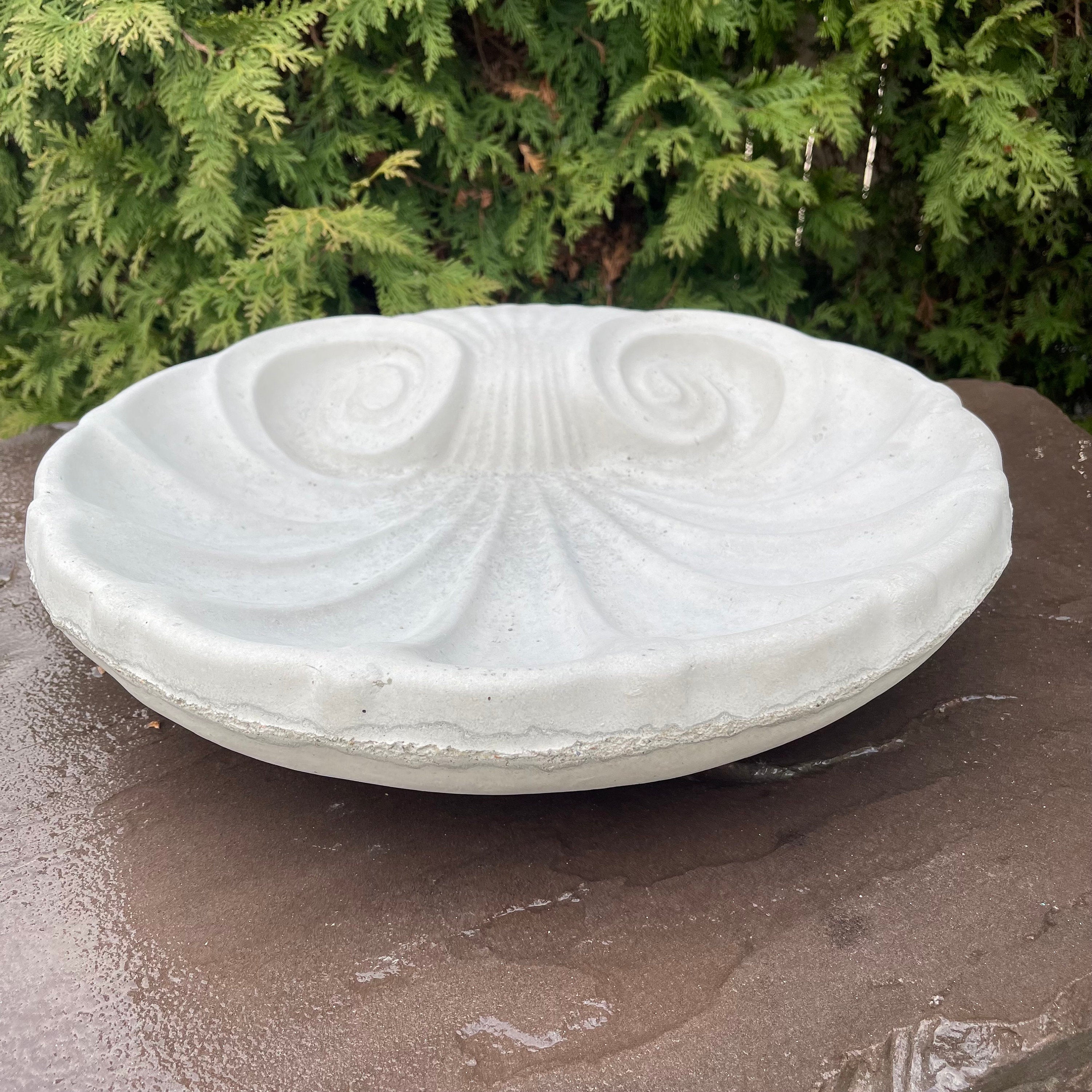 Concrete Bird Bath Bowl 18" Cement Bird Baths Near Me / Sea Shell Shape Design