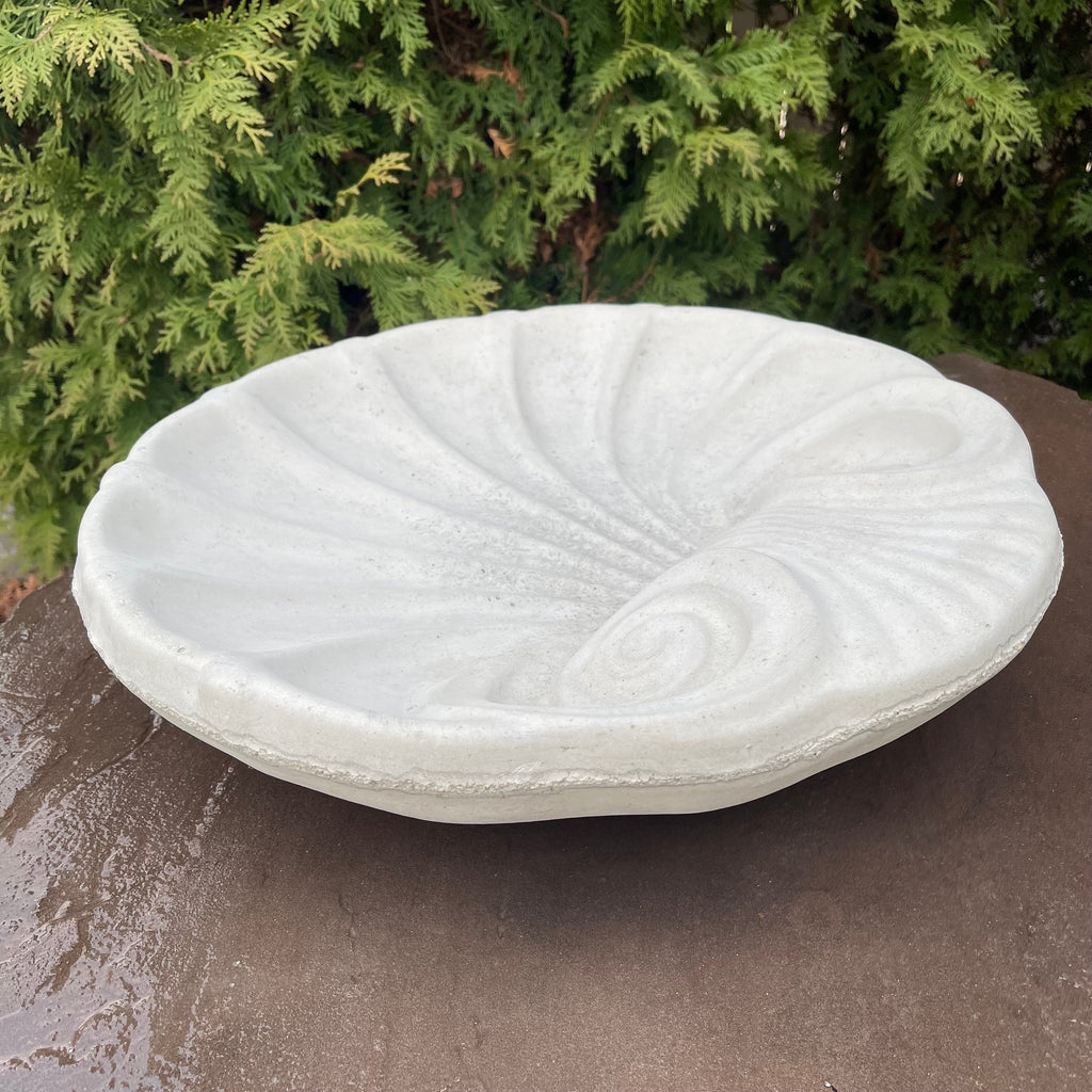 Concrete Bird Bath Bowl 18" Cement Bird Baths Near Me / Sea Shell Shape Design