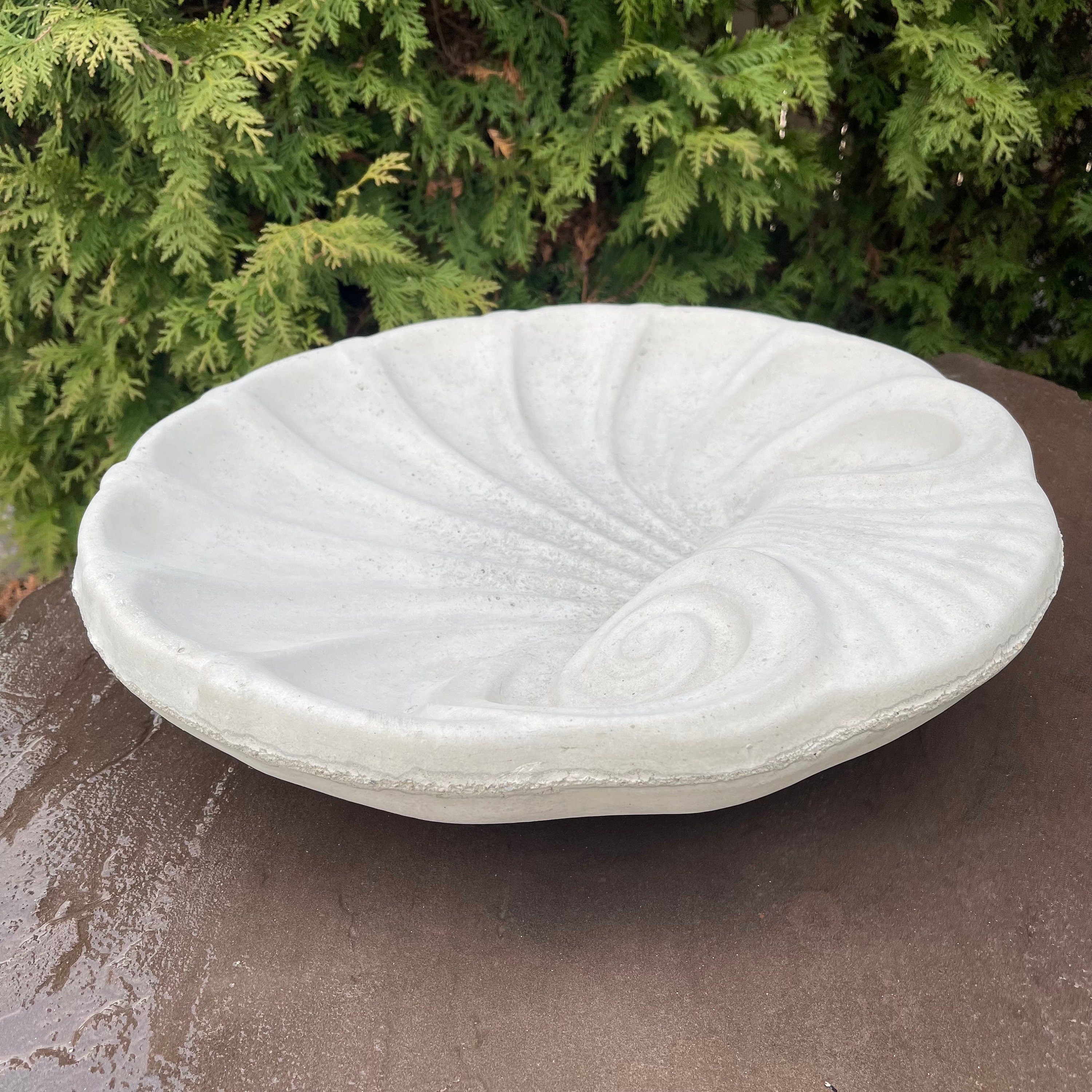Concrete Bird Bath Bowl 18" Cement Bird Baths Near Me / Sea Shell Shape Design