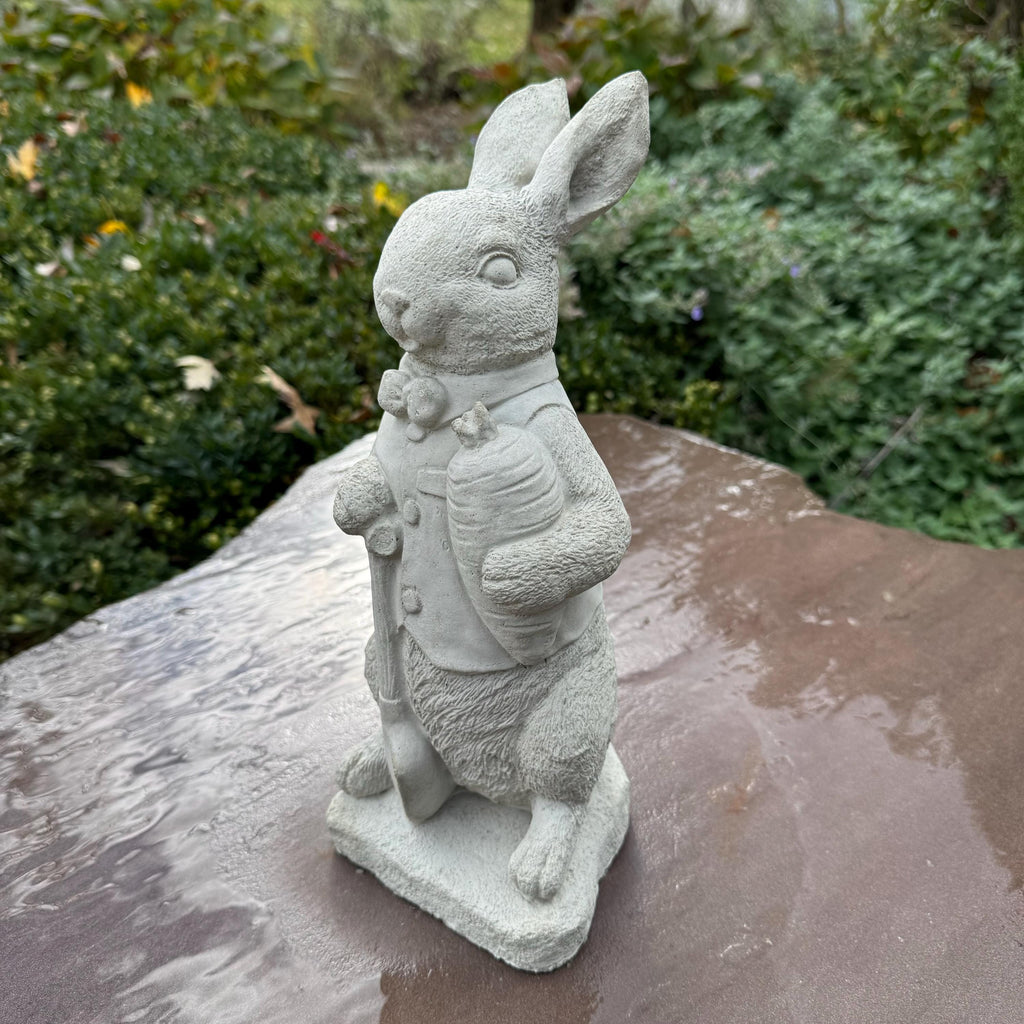 Peter Rabbit Statue 11" Beatrix Potter Garden Bunny Sculpture Outdoor Yard Decor Ornament