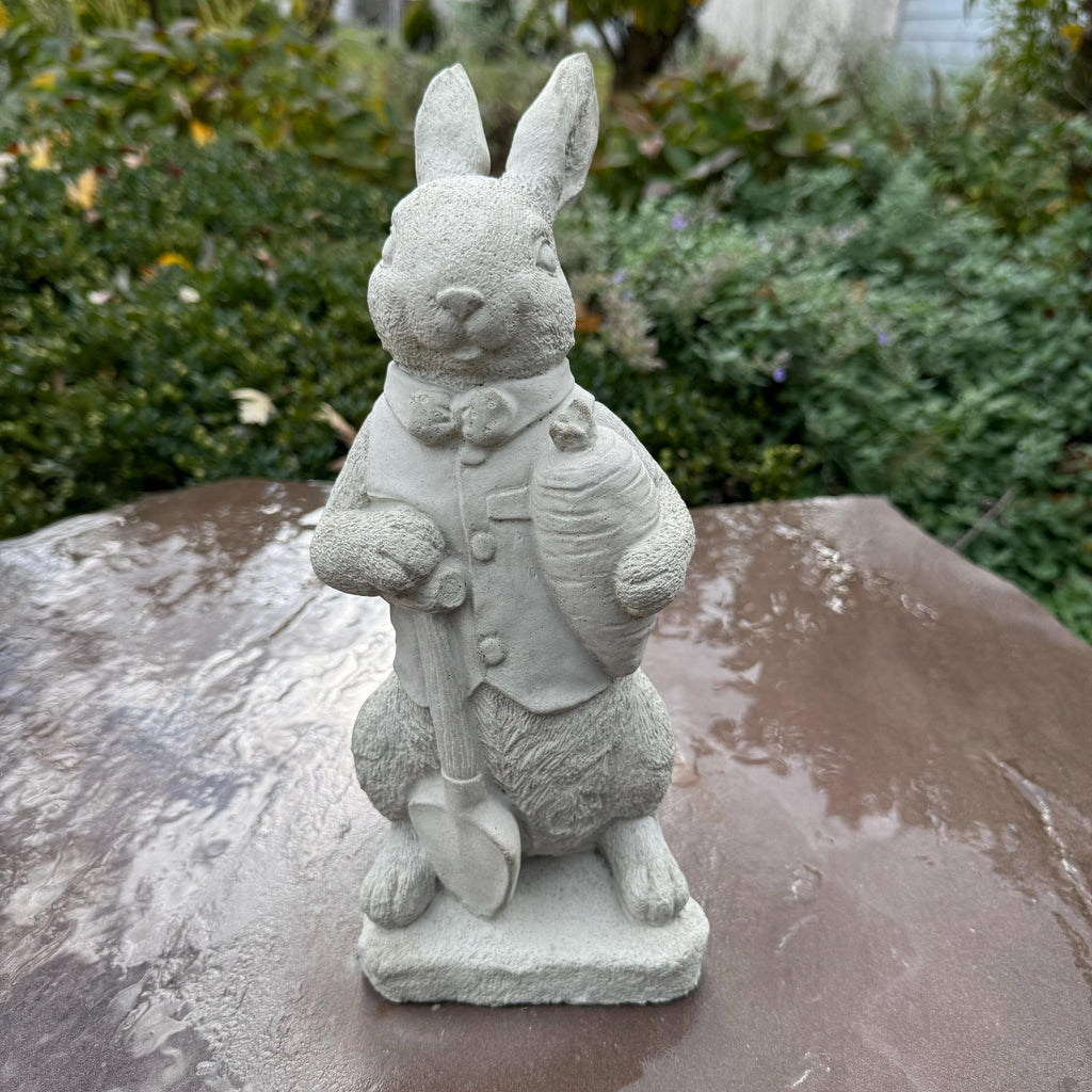 Peter Rabbit Statue 11" Beatrix Potter Garden Bunny Sculpture Outdoor Yard Decor Ornament