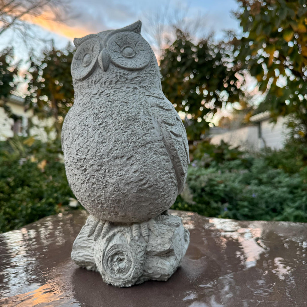 Rustic Owl Garden Statue 11" Concrete Outdoor Bird Sculpture Yard Art Lawn Ornament