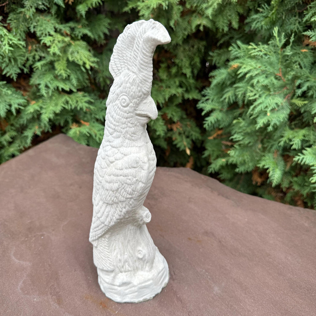 Cockatoo Bird Statue: 13 Inch Concrete Garden Sculpture Outdoor Parrot Decor