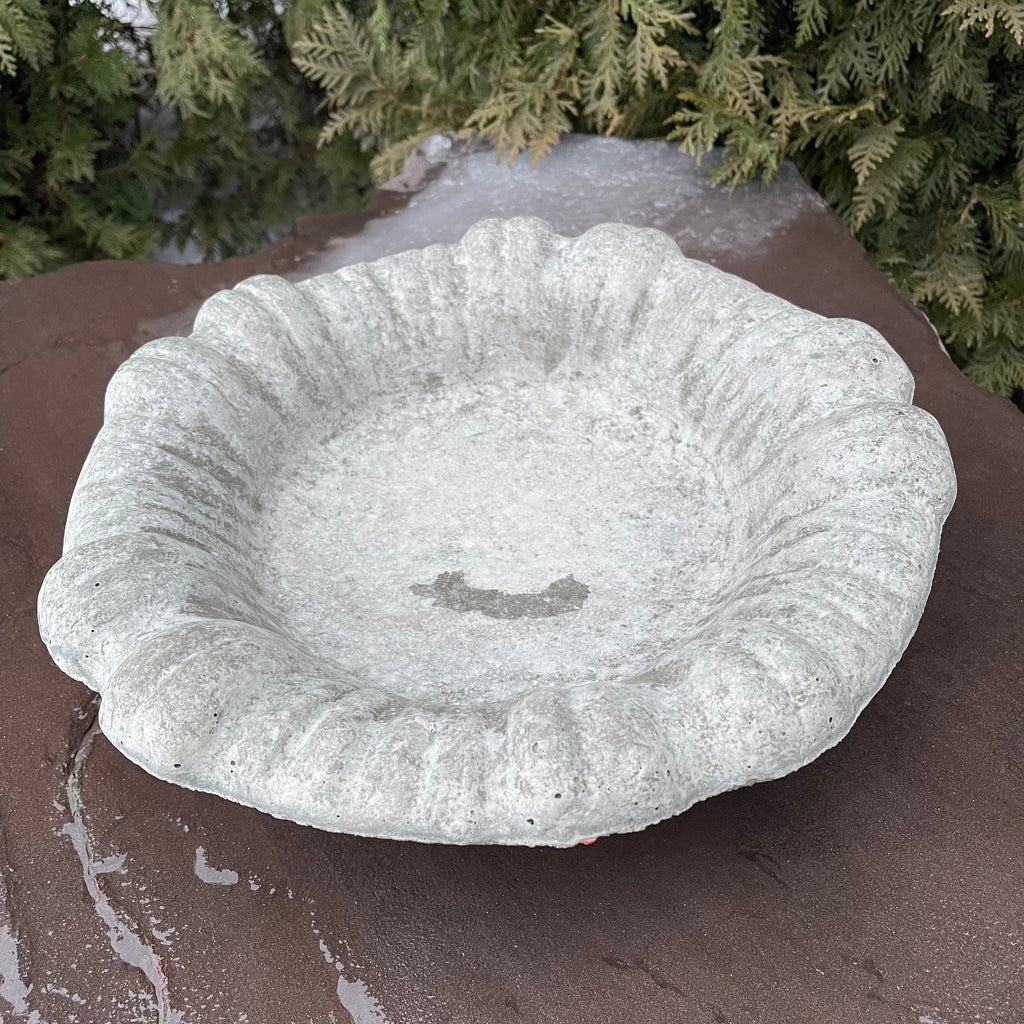 Small Cement Bird Bath Bowl: 13" Modern Concrete Bird Bath