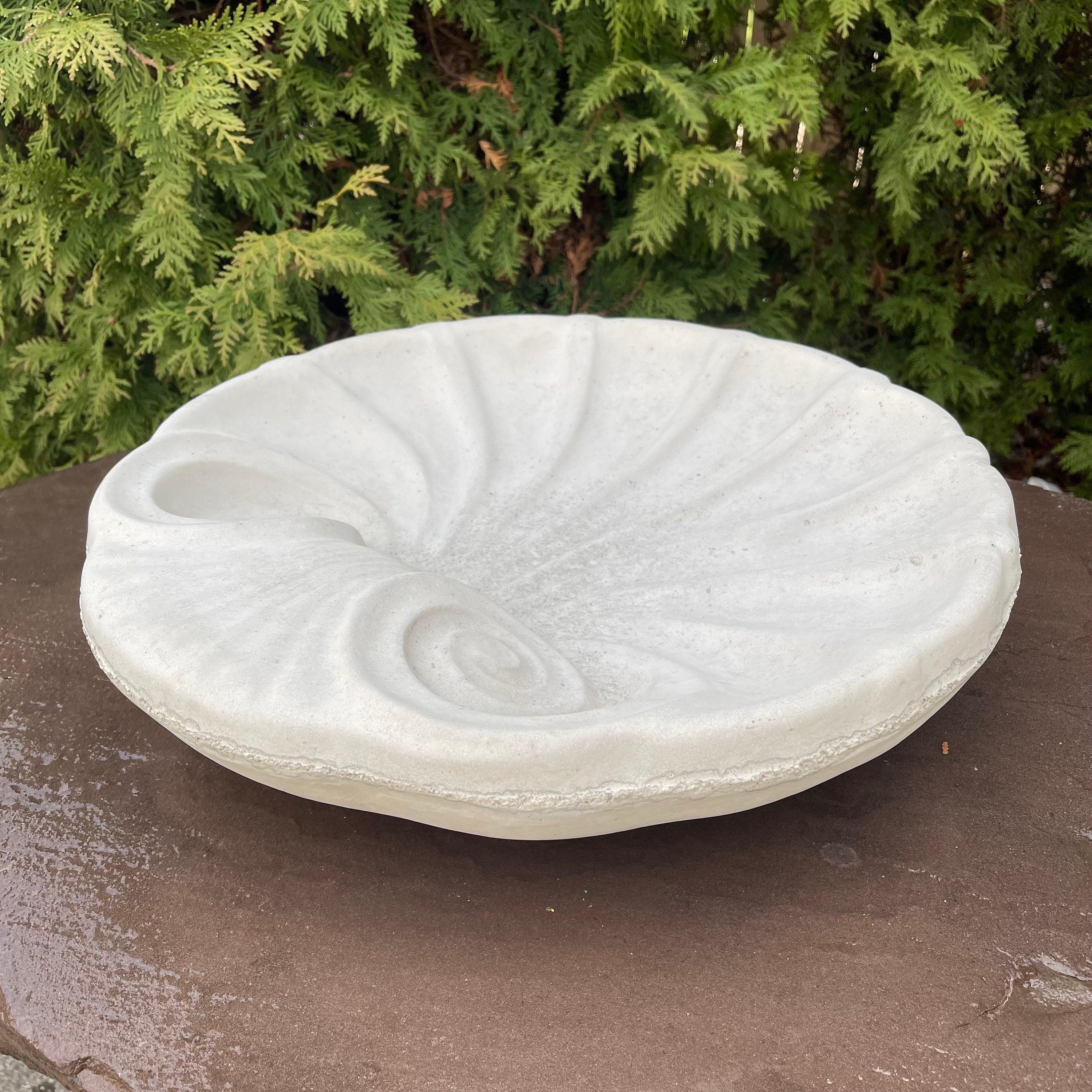 Concrete Bird Bath Bowl 18" Cement Bird Baths Near Me / Sea Shell Shape Design